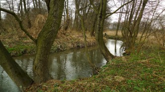 Dolina pradnika - male