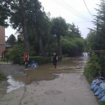 IMG_20130624_145054