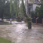 IMG_20130624_150221
