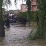 IMG_20130624_150234