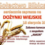 W dożynkowej atmosferze,czyli świętowanie w Bibicach