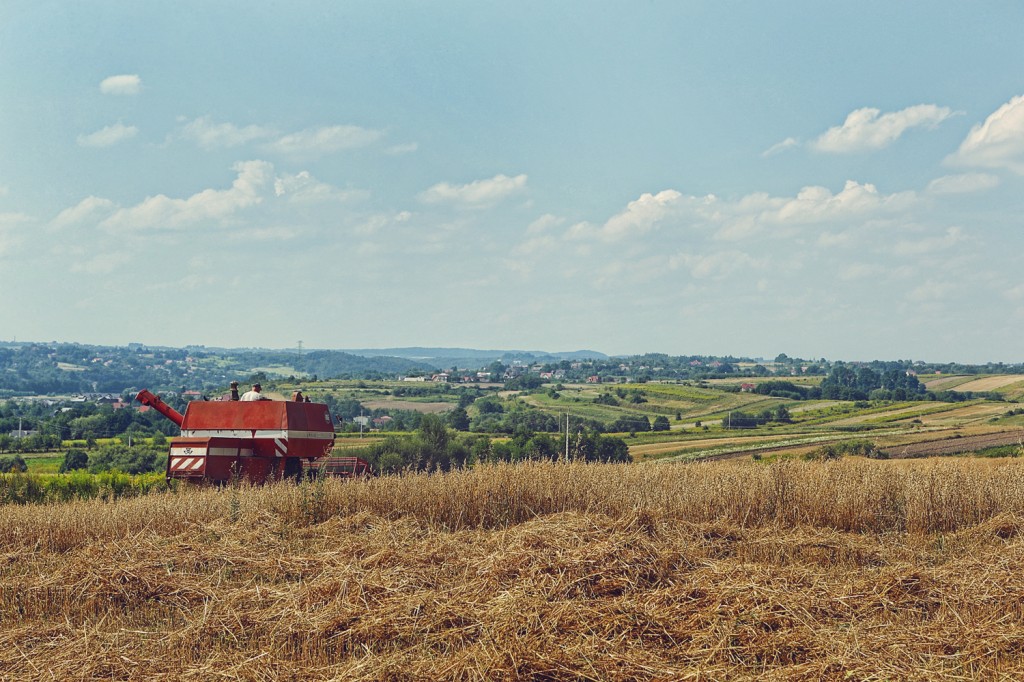 ANCE5759ZniwaZielonki20130812