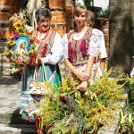 ANCE7192BukietyMaryjneZielonki20130815