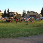 DSC06353