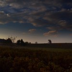DSC_1002