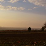 DSC_1038