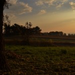 DSC_1048