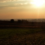 DSC_1052