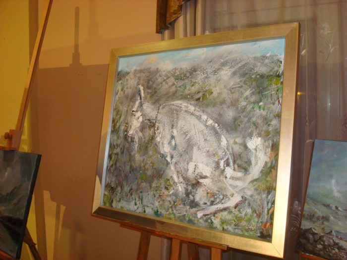 DSC07417